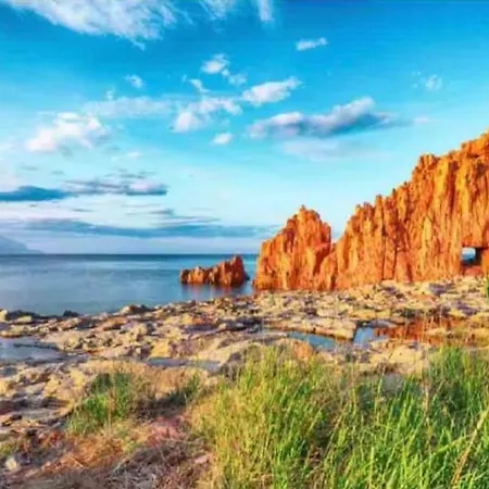 Maloche * ジラソーレ