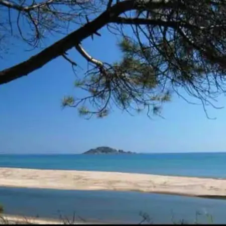 アパート Maloche *