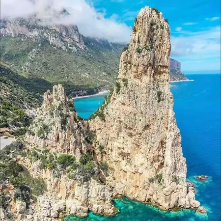 Maloche